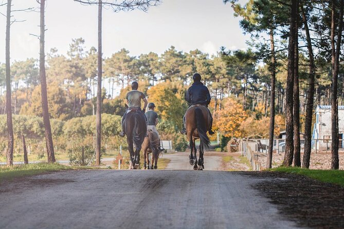 Horse Riding in the Countryside - The Scenic 6 km Rural Trail