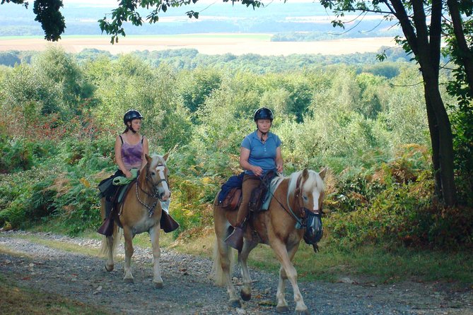 Horse riding in the French countryside - Discover the Charm of Horse Riding in the French Countryside for $80.98