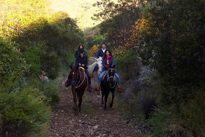 Horse Riding in the Mountain - Horse Riding in the Mountain: A Scenic Adventure in Ensenada