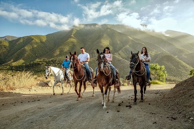Horse Riding in the Mountain - Meeting Point Details at Museo Caracol