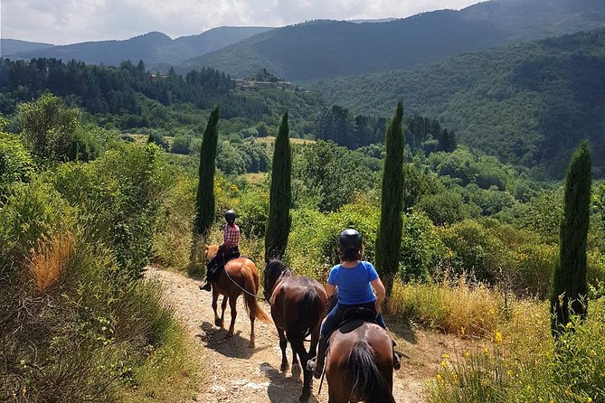 Horse Riding in Tuscany for Experienced Riders: Full-day Trail Ride - Discover the Authentic Tuscan Countryside on Horseback