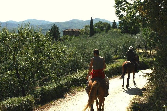 Horse Riding in Tuscany for Experienced Riders: Full-day Trail Ride - Key Points