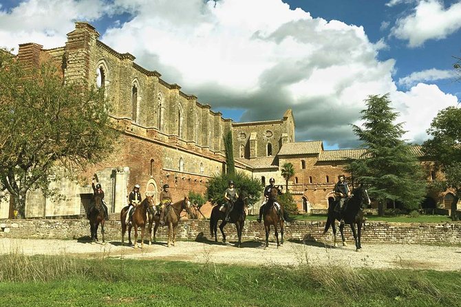 Horse Riding in Tuscany for Experienced Riders: Full-day Trail Ride - Lunch in the Tuscan Countryside