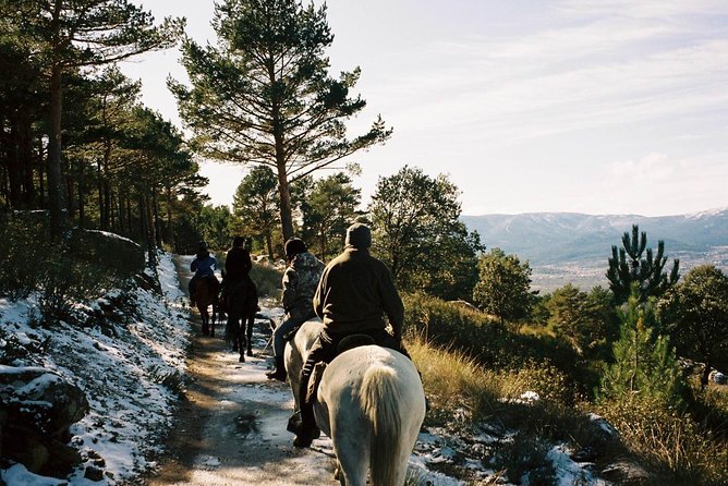 Horse Riding Madrid Natural Park - Horse Riding Madrid Natural Park: An Authentic Ride through Nature
