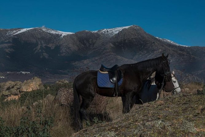 Horse Riding Madrid Natural Park (long Trip) - Horseback Riding Experience and Skill Levels