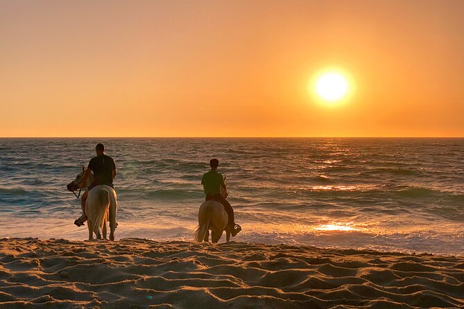 Horse Riding on Melides Beach - Exploring the Route: Atlantic Forest and the Alentejo Coast