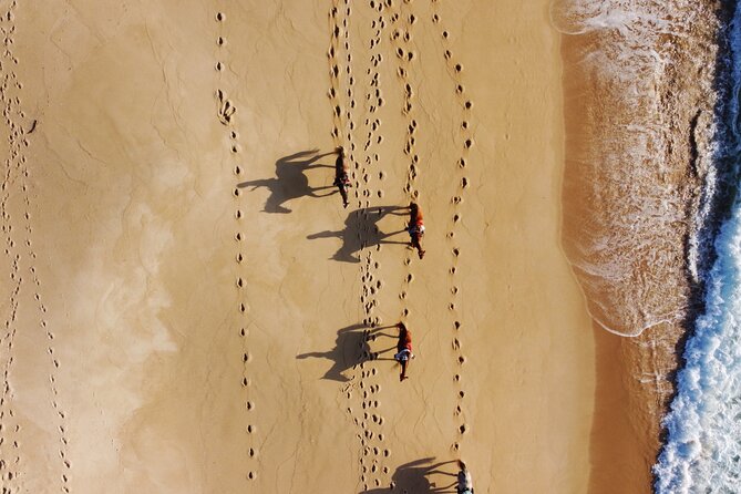 Horse Riding on Melides Beach - The Guides and Safety Measures