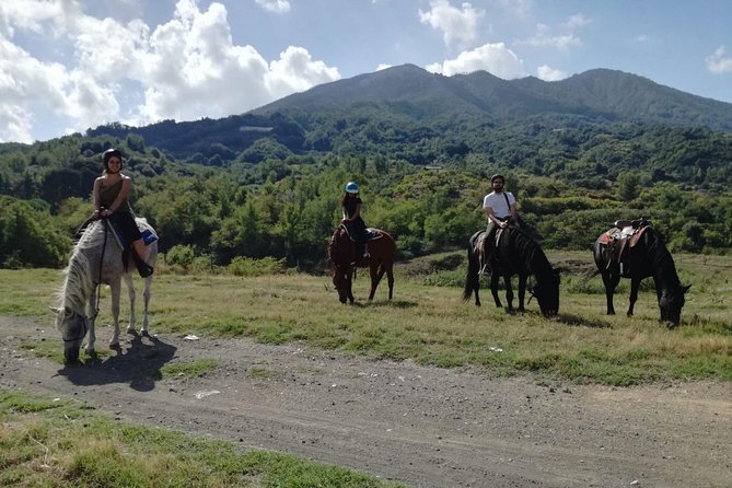 Horse Riding on Mount Vesuvius - Convenient Meeting Point and Accessibility