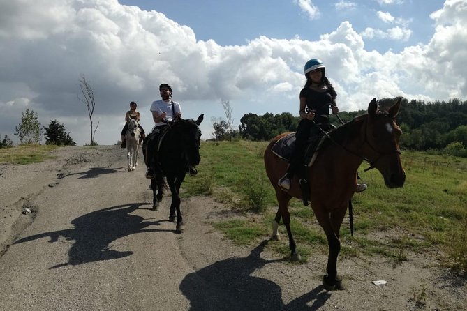 Horse Riding on Mount Vesuvius - Who Should Consider This Tour?