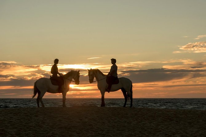 Horse Riding on the Beach - Encounter with the Melides Lagoon and Bird Watching Opportunities
