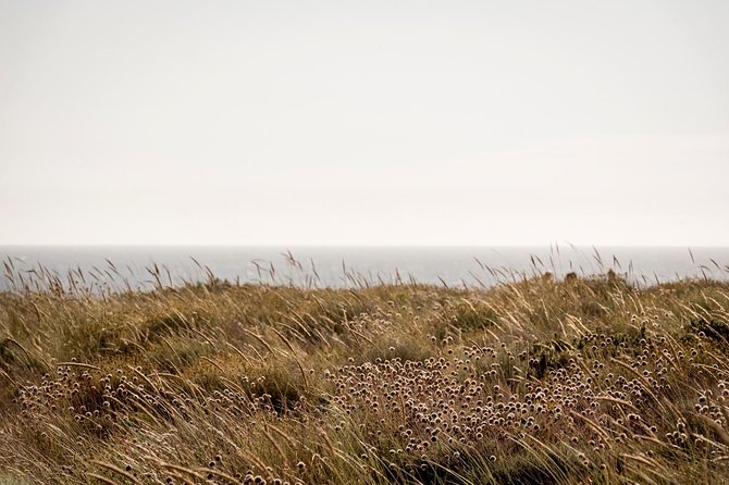Horse Riding on the Beach - Safety and Equipment Provided for a Secure Ride