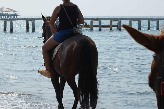Horse Riding on the Beach in Side - Key Points