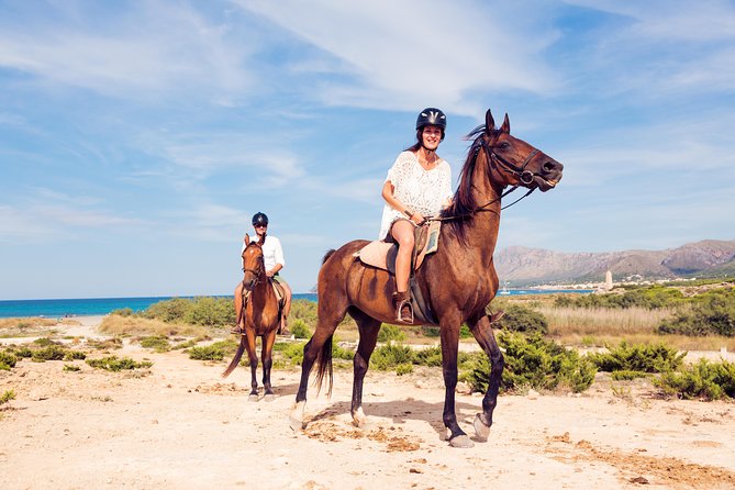 Horse Riding on the Beach in Side - Safety and Equipment for a Confident Ride
