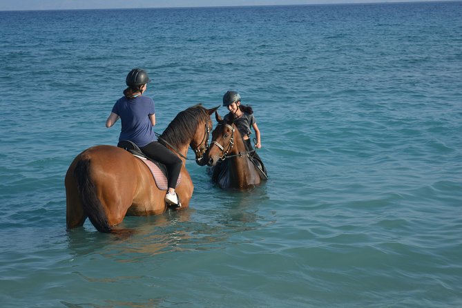 Horse riding on the Beach, Rhodes - Discover the Unique Horseback Riding Experience on Rhodes Beach