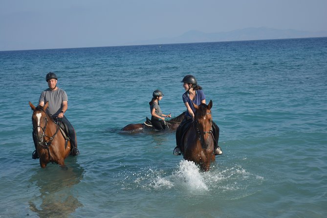 Horse riding on the Beach, Rhodes - Key Points