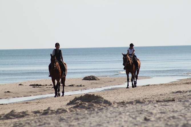 Horse riding on the Beach, Rhodes - Experience Level and Physical Requirements