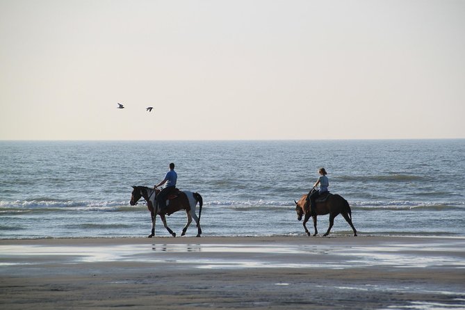 Horse riding on the Beach, Rhodes - The Booking Process and Cancellation Policy