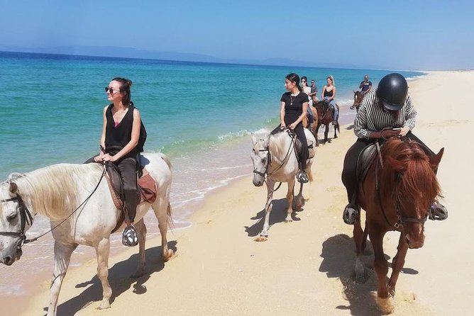 Horse Riding on the Beach Tour - An Exciting Beach Horse Ride Near Lisbon for All Skill Levels