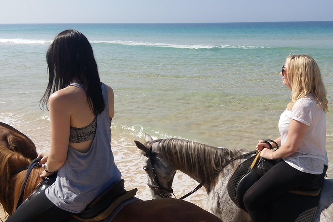 Horse Riding on the Beach Tour - Optional Lunch in Comporta with Local Seafood Specialties