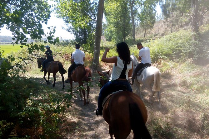 Horse Riding on the Beach Tour - How the Logistics Make This Tour Easy and Comfortable
