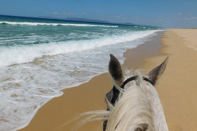 Horse Riding on the Beach Tour - Suitable for Riders with Moderate Physical Fitness