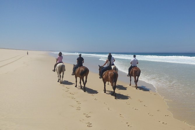 Horse Riding on the Beach Tour - The Unique Appeal of the Beaches and Coastal Landscape