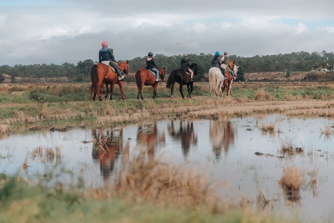 Horse Riding on the Beach with private transfer from Lisbon - Physical Requirements and Accessibility