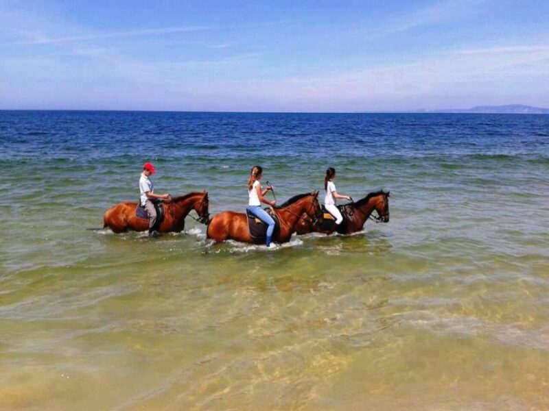 Horse riding on the beach, with private transfer from Lisbon - Key Points