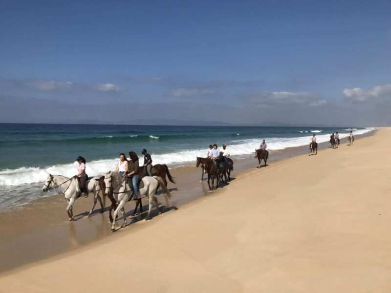 Horse riding on the beach, with private transfer from Lisbon - What’s Included and What’s Not