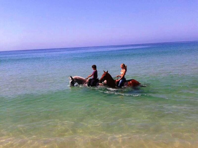 Horse riding on the beach, with private transfer from Lisbon - Practical Tips for Participants
