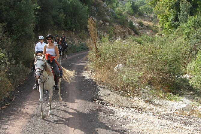 Horse Riding Tour in Bodrum with Hotel Pick Up - Discover the Horse Riding Tour in Bodrum with Hotel Pickup