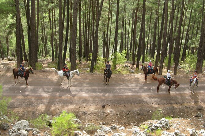Horse Riding Tour in Bodrum with Hotel Pick Up - Value for Money and What’s Included