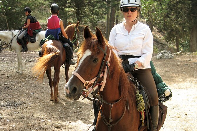 Horse Riding Tour in Bodrum with Hotel Pick Up - The Experience from the Guides’ Perspective