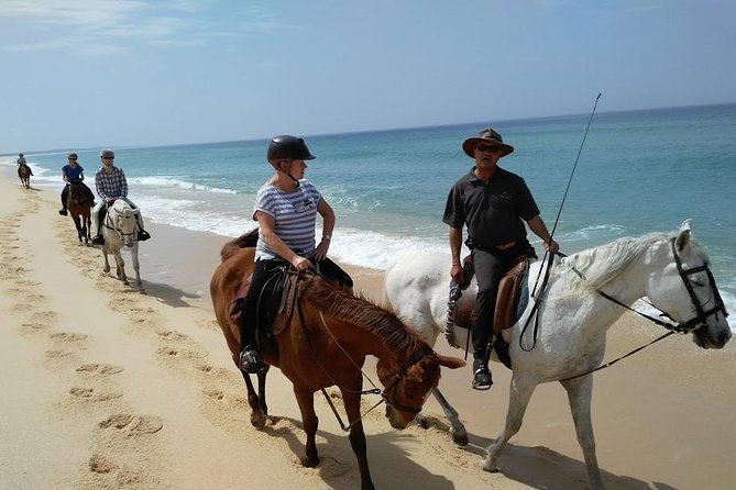 Horse Riding Tour on the Beach Lisbon region - Experience a Coastal Horseback Ride Near Lisbon for $337.43