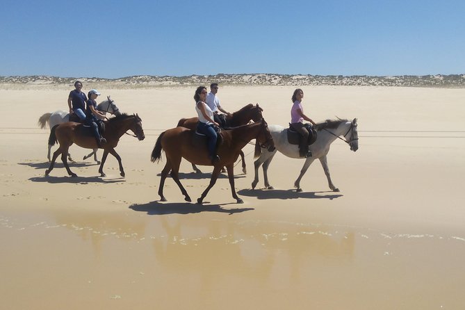 Horse Riding Tour on the Beach Lisbon region - Comfortable Transportation and Convenient Pickup
