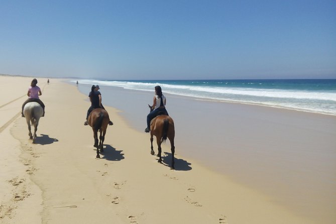 Horse Riding Tour on the Beach Lisbon region - The Horseback Riding Along Comporta’s White Sands
