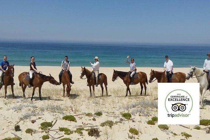 Horse Riding Tour on the Beach Lisbon region - Physical Requirements and Accessibility