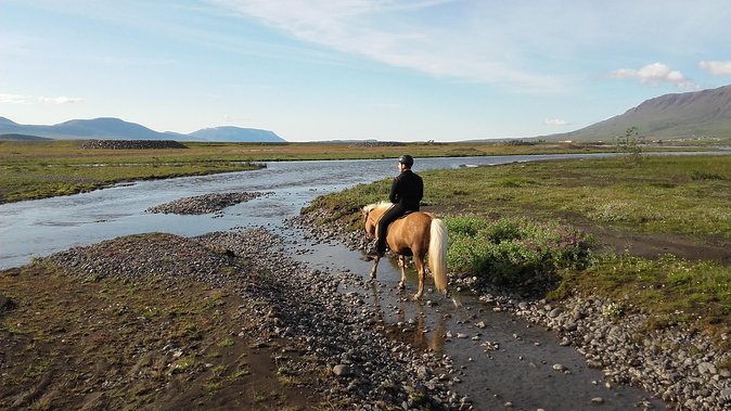 Horse Riding Tour to the Glacier River Delta with Waterfall - Horse Riding Tour to the Glacier River Delta with Waterfall: A Unique Icelandic Adventure