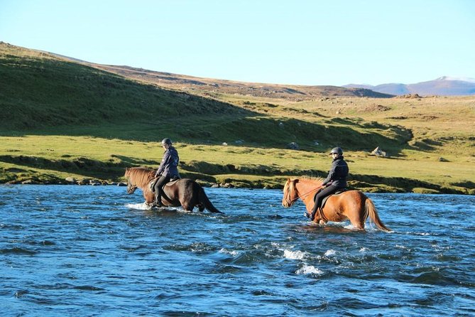 Horse Riding Tour to the Glacier River Delta with Waterfall - Guides and Their Knowledge of Icelandic Horses and Landscape