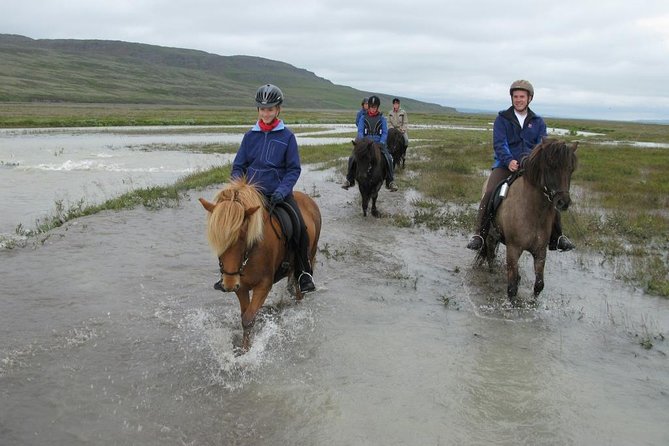 Horse Riding Tour to the Glacier River Delta with Waterfall - Physical Requirements and Suitability