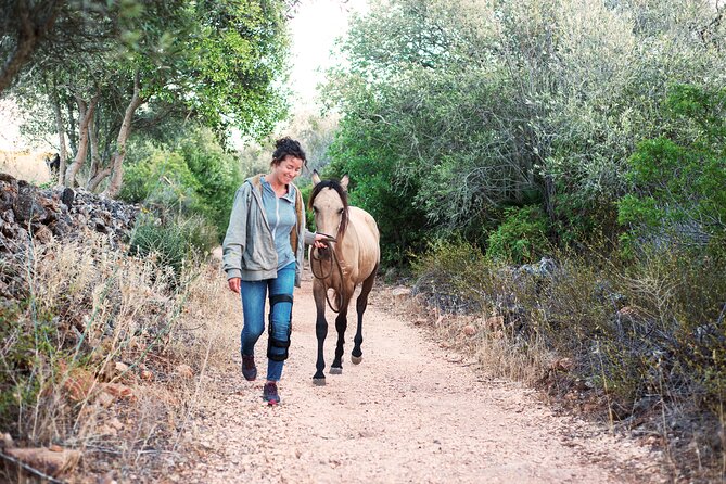 Horse Sanctuary: A nature walk with Rescued Horses by your side - Key Points