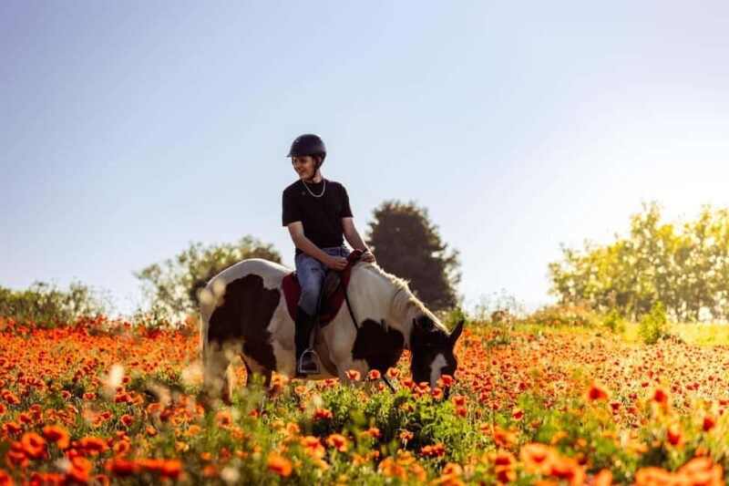 Horse Sanctuary in Rome - Discover the Lazio Countryside on Horseback