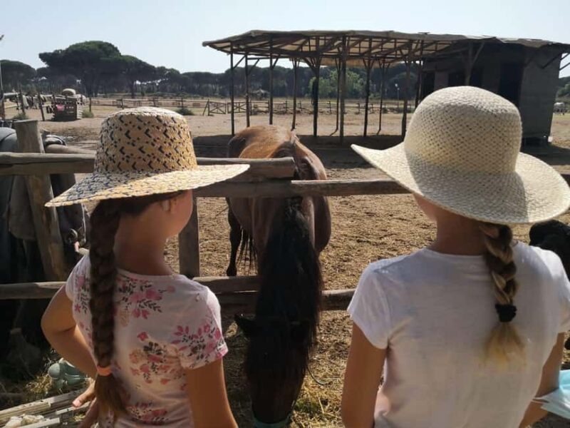 Horse Sanctuary in Rome - What to Bring and Practical Tips