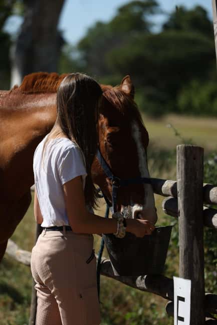 Horse Sanctuary in Rome - Who Will Appreciate This Tour Most