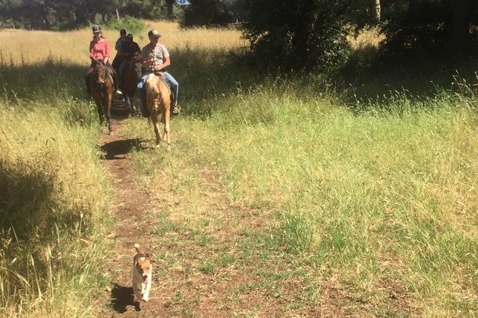 Horse Sanctuary & Trail Ride - Starting Point and Meeting Arrangements