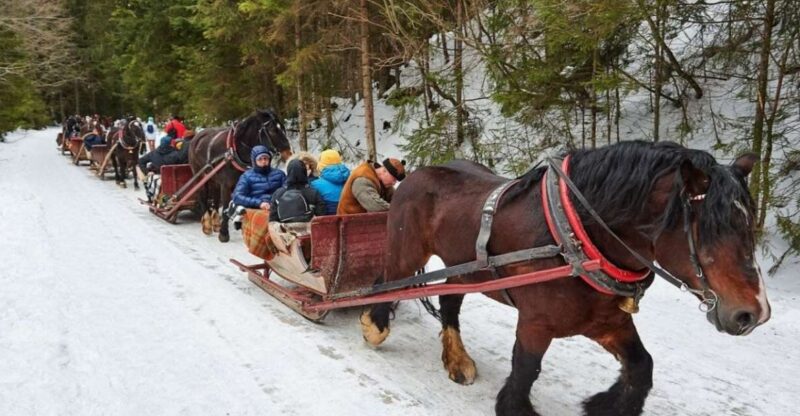 Horse Sleigh 2-3h Ride with Hot Springs or Zakopane Combos - Scenic Ride Through Zakopane’s Snowy Mountains