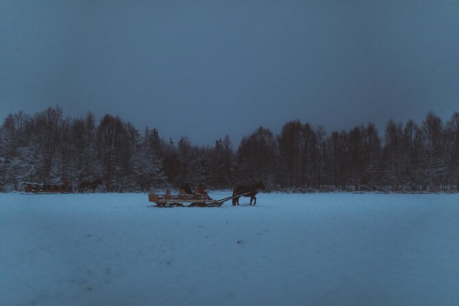 Horse Sleigh Ride Under The Night Sky in Apukka Resort, Rovaniemi - Logistics and Meeting Details