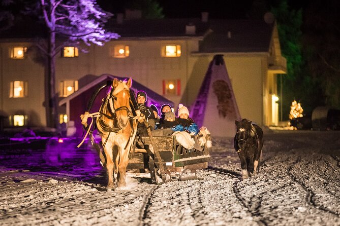 Horse Sleigh Ride Under The Night Sky in Apukka Resort, Rovaniemi - Final Thoughts on the Horse Sleigh Ride in Rovaniemi