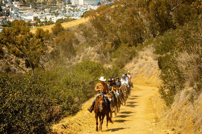 Horse Trail Overlook Group Ride on Catalina Island - Key Points