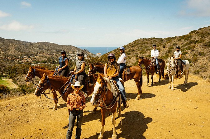 Horse Trail Overlook Group Ride on Catalina Island - Comparing This Tour to Other Catalina Island Experiences